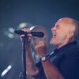 Phil Collins