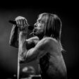 Iggy Pop beste nummers