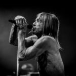 Iggy Pop beste nummers